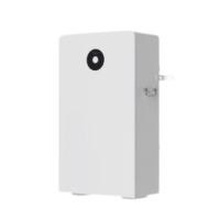 Акумуляторна батарея Deye RW-F16 51,2В 314А·год