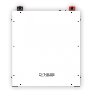 Акумуляторна батарея Dyness DL5.0C