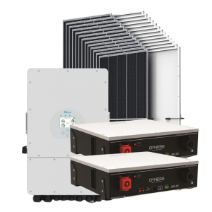 Акумуляторна батарея Dyness DL5.0C