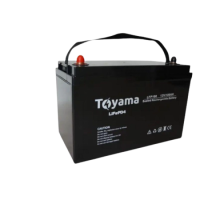 Акумуляторна батарея Toyama LiFePO4 12V 100Ah BMS