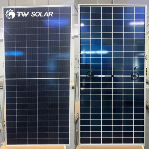 Сонячна панель TW Solar TWMNH-66HD625 Bifacial, 625Вт